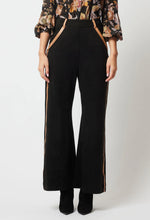 Load image into Gallery viewer, Danxia Faux Suede Pants
